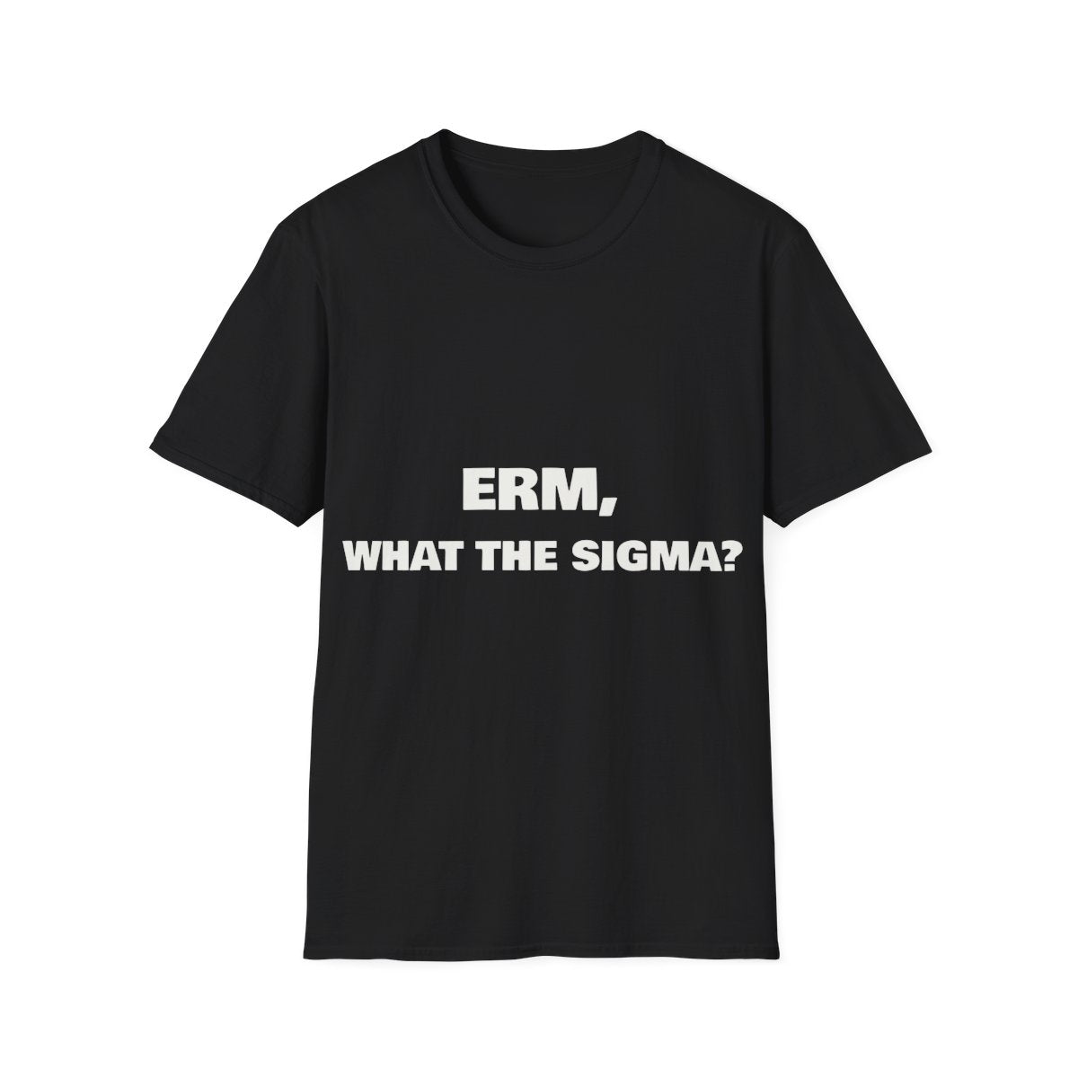 Erm, What The Sigma? | T-Shirt